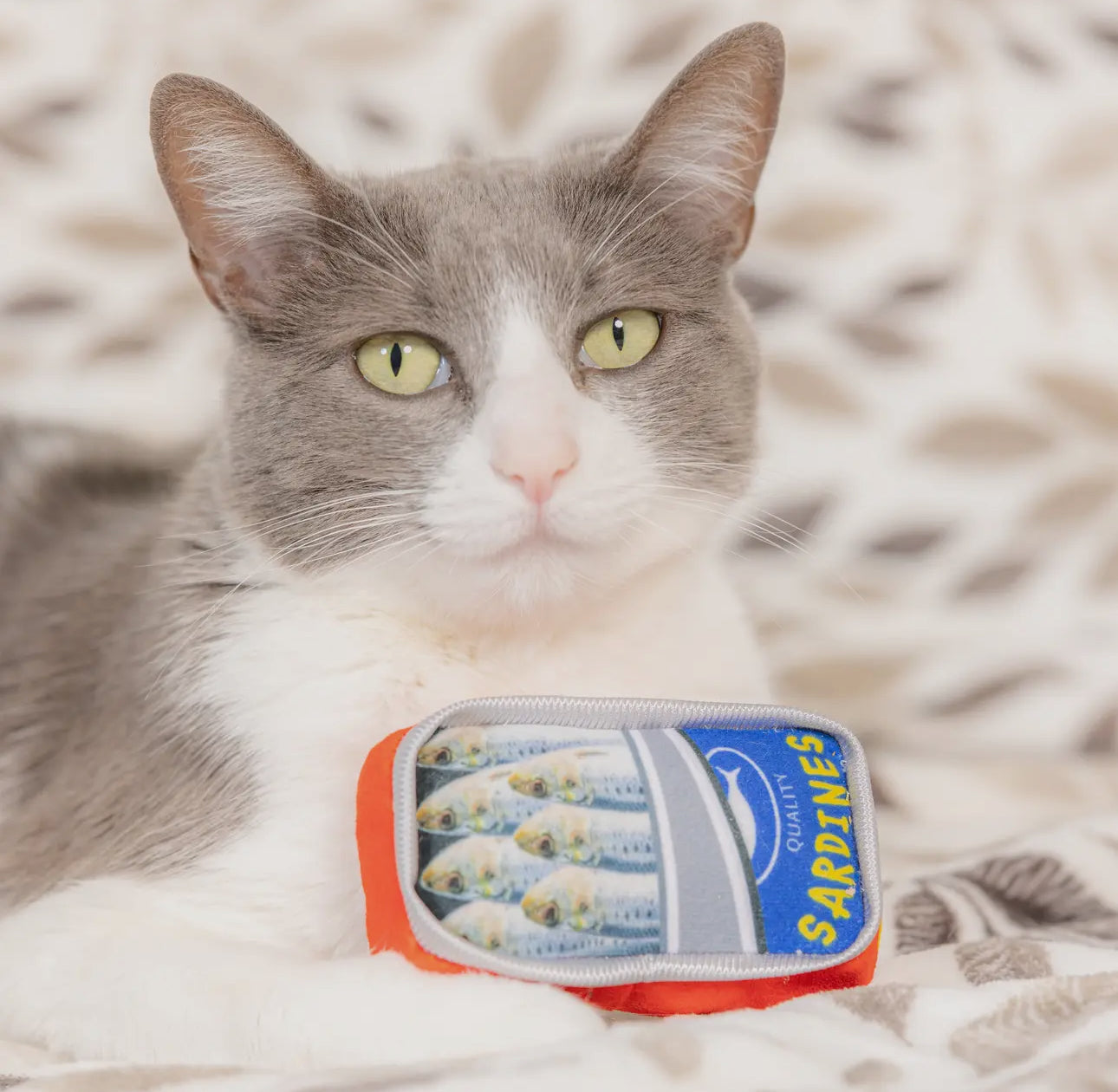 Sardine Tin For Cats