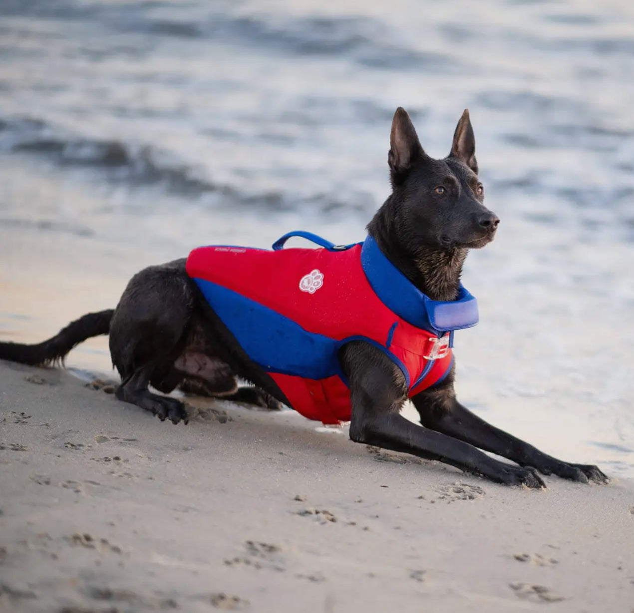 High Tide Dog Life Jacket- Red/Blue