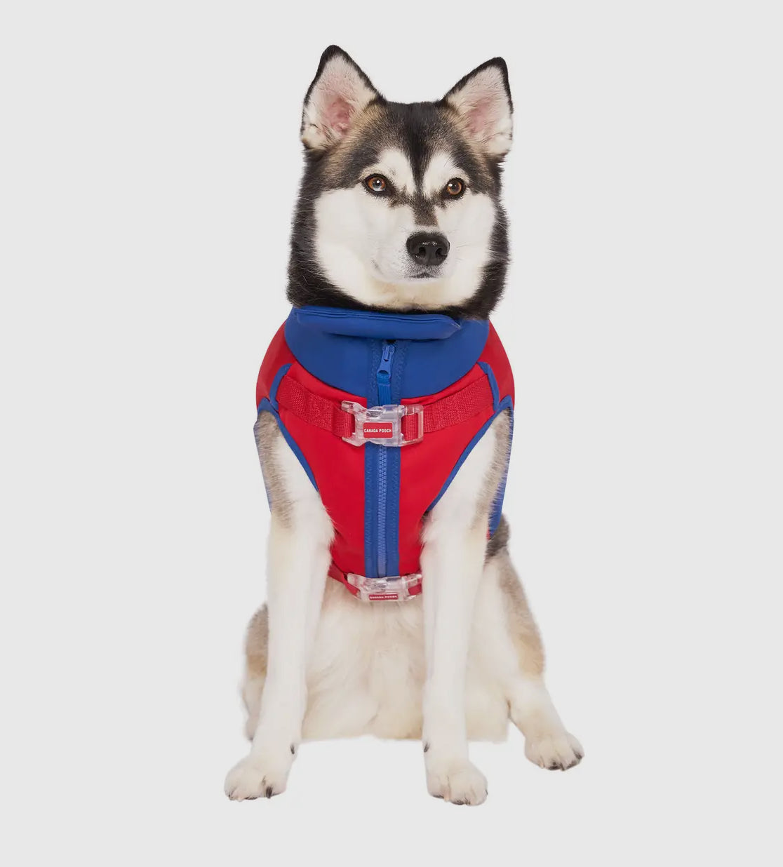 High Tide Dog Life Jacket- Red/Blue