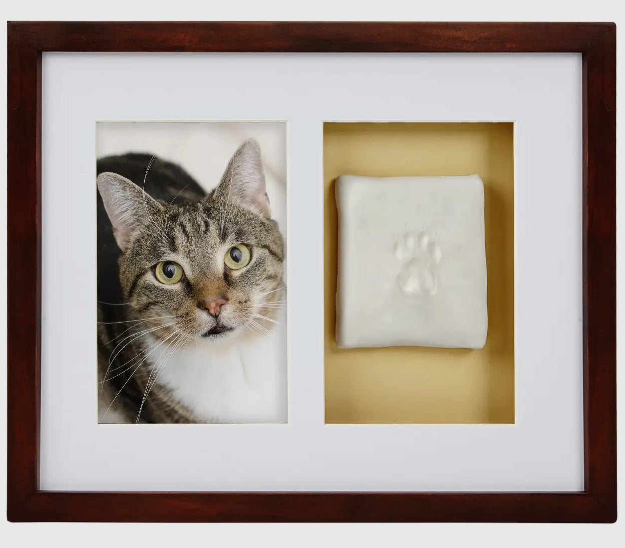 Pet Wall Frame and Impression Kit