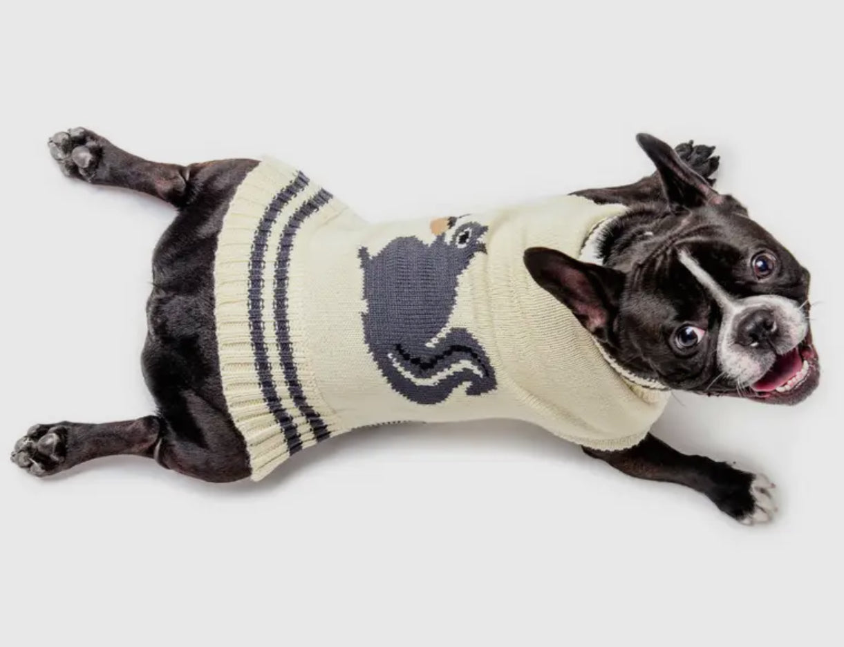 Squirrel Dog Sweater