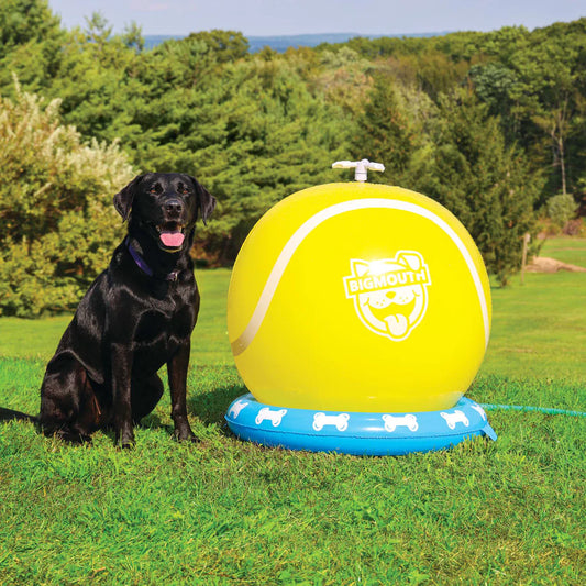 Tennis Ball Pet Sprinkler