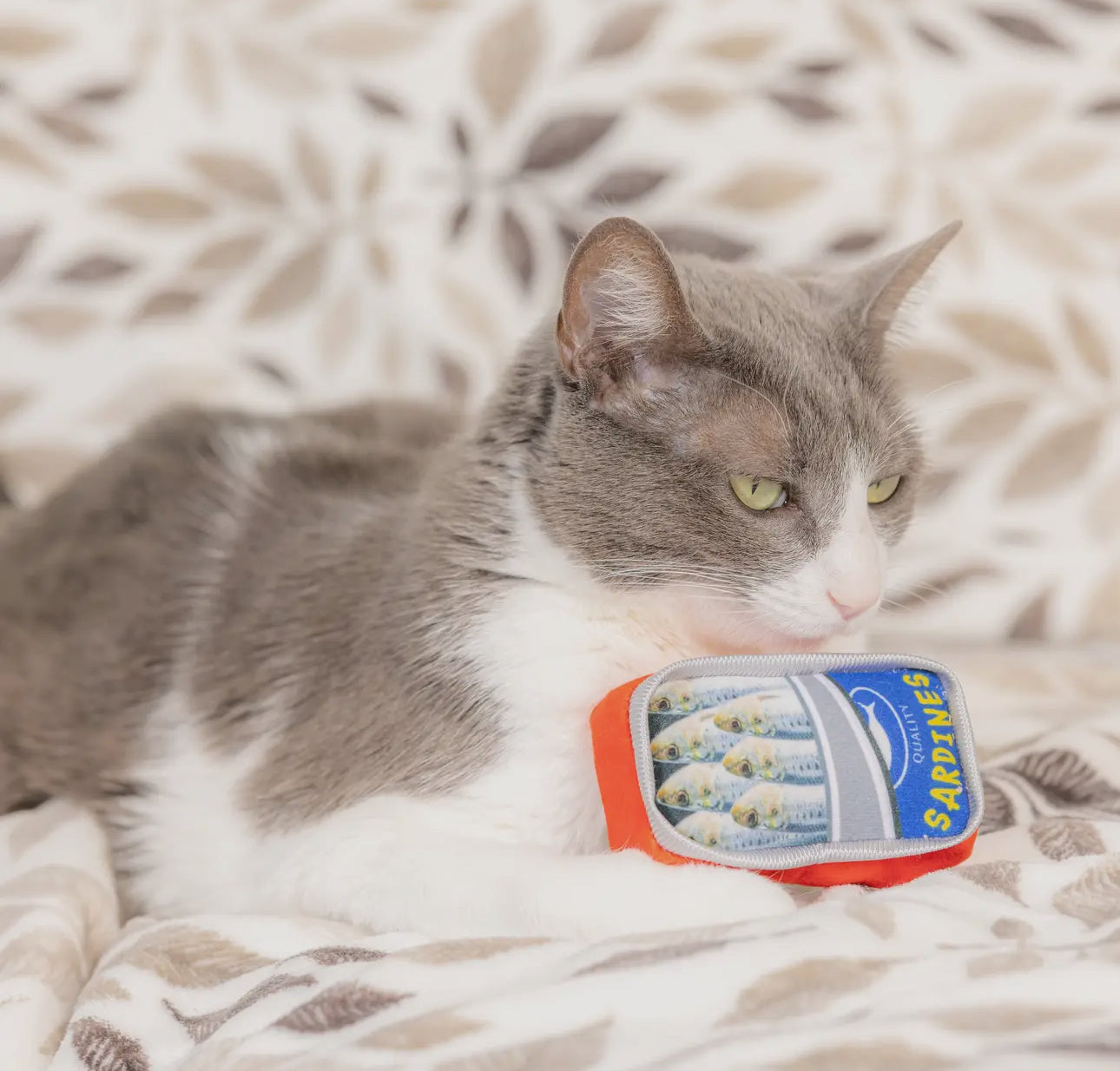 Sardine Tin For Cats