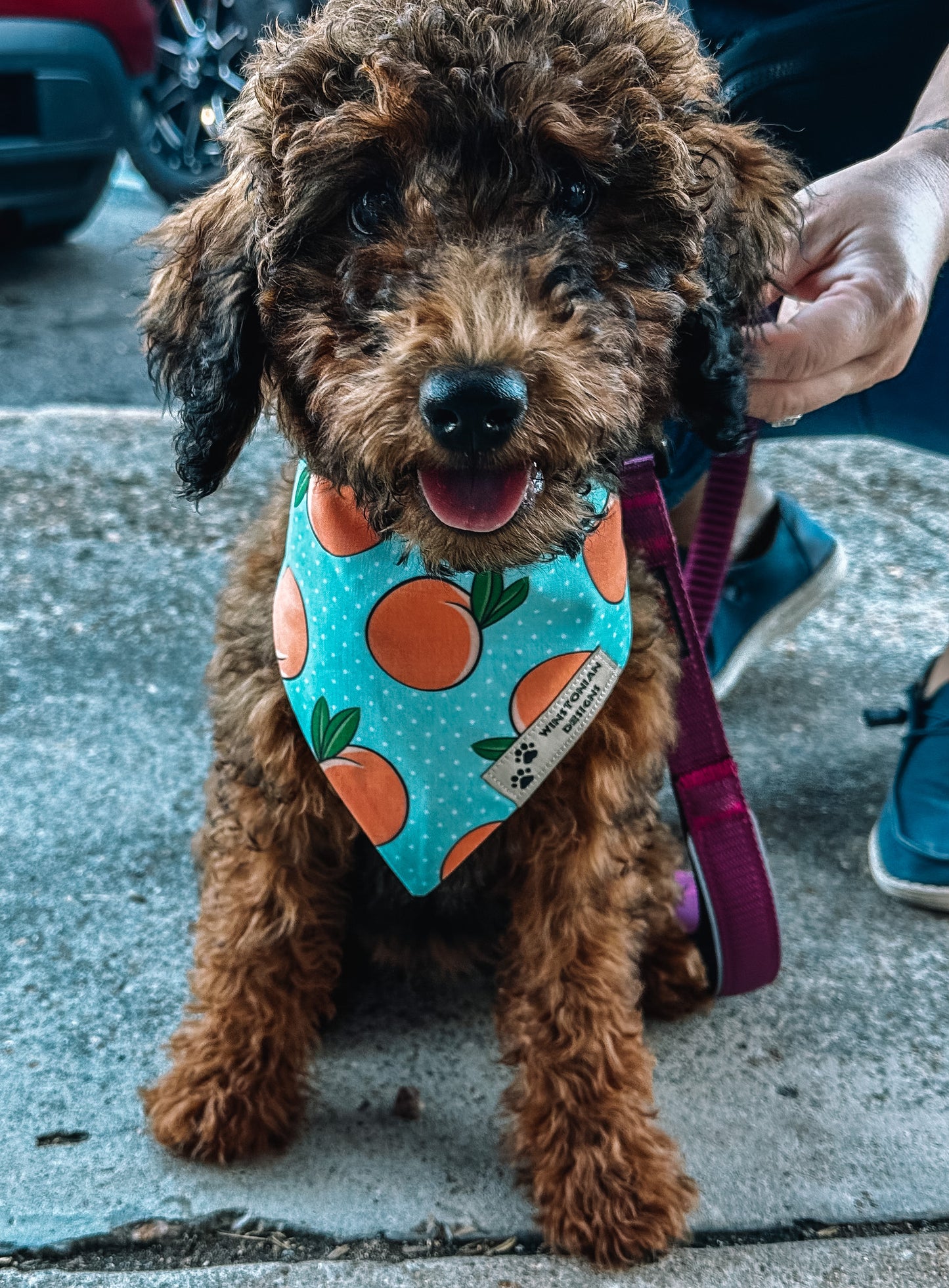 Peachy Citrus Tie-On Bandana