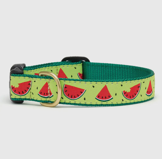 Watermelon Dog Collar