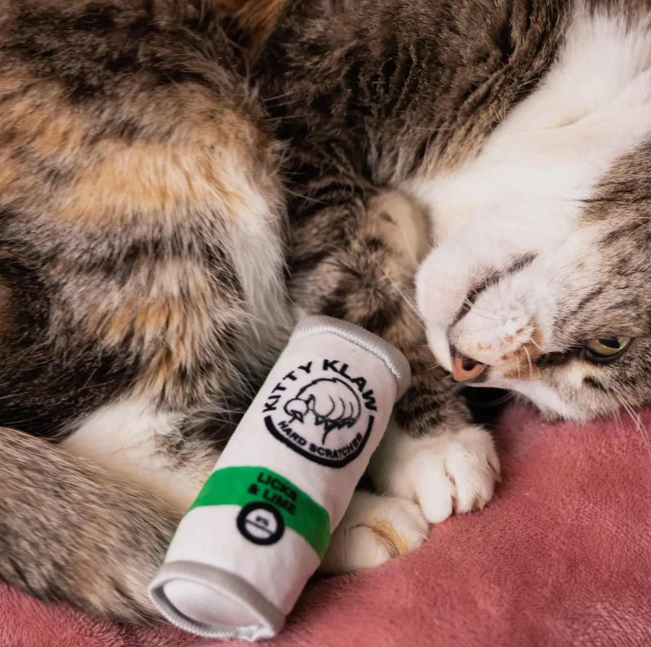 Kitty Klaw Licks & Lime For Cats