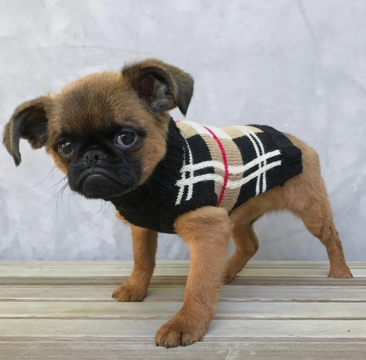 Plaid Dog Sweater