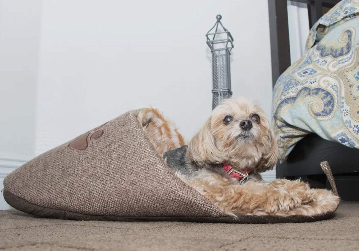 Slipper Dog Bed