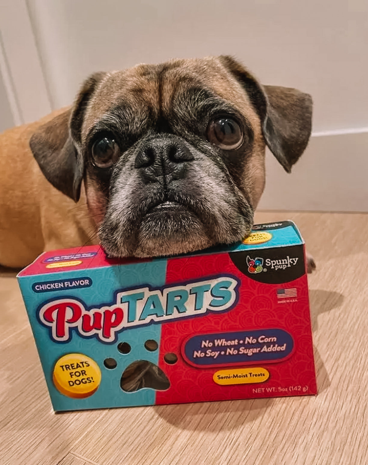 PupTarts- Dog Treats