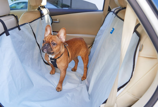 Dog Car Seat Cover