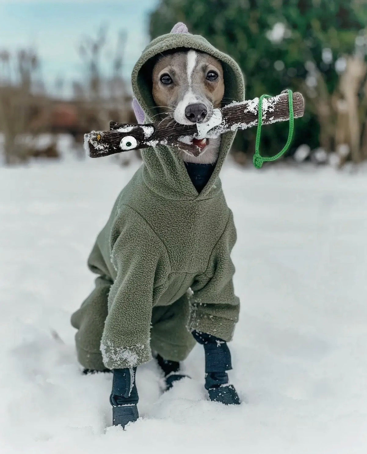 The DOOG STICK Family Fetch Toys