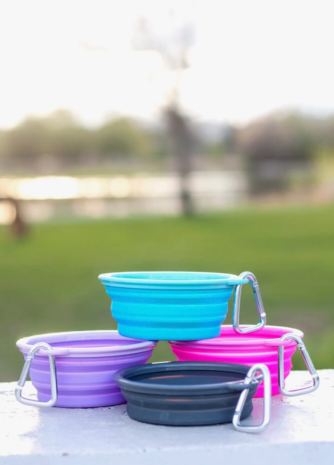 Collapsible Travel Dog Bowl