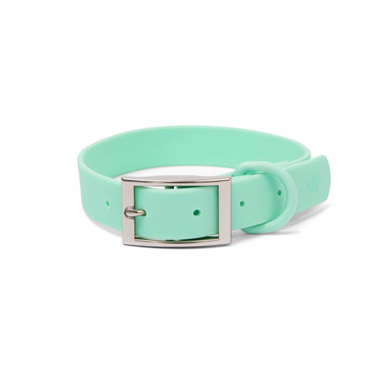 Mint Everyday PVC Collar