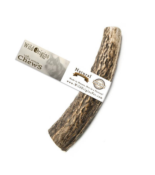 Medium Elk Antler Dog Chew