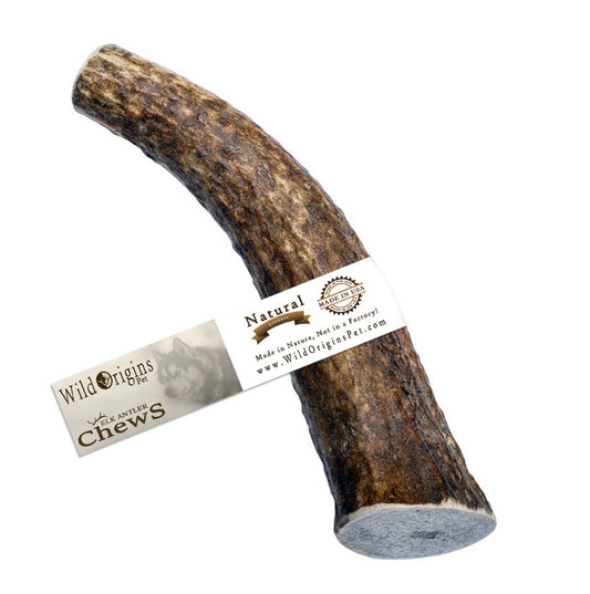 Large Elk Antler Dog Chew