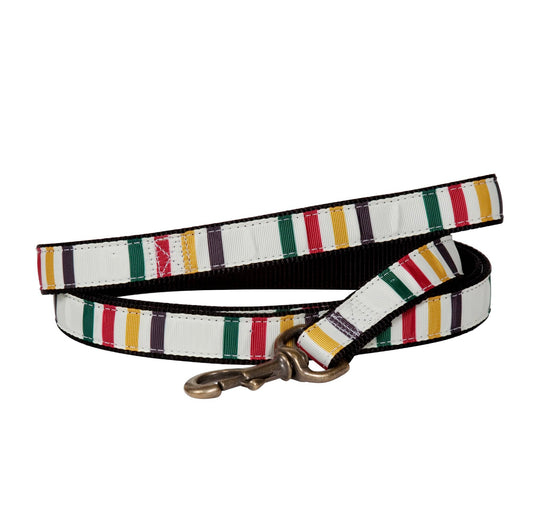 Pendleton Pet Leash- Glacier