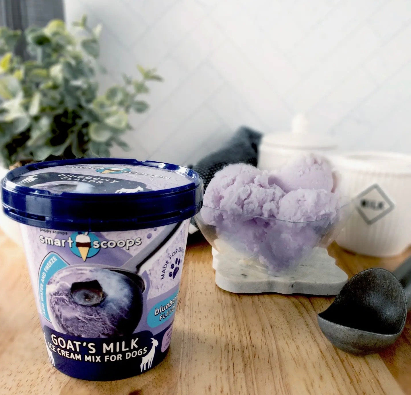 Goat's Milk Ice Cream Mix - Blueberry