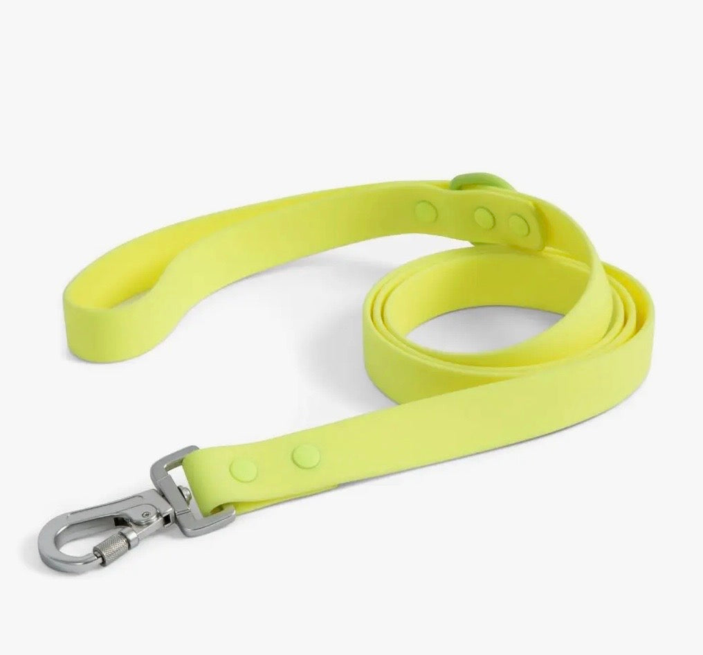 Tennis Ball Everyday PVC Leash