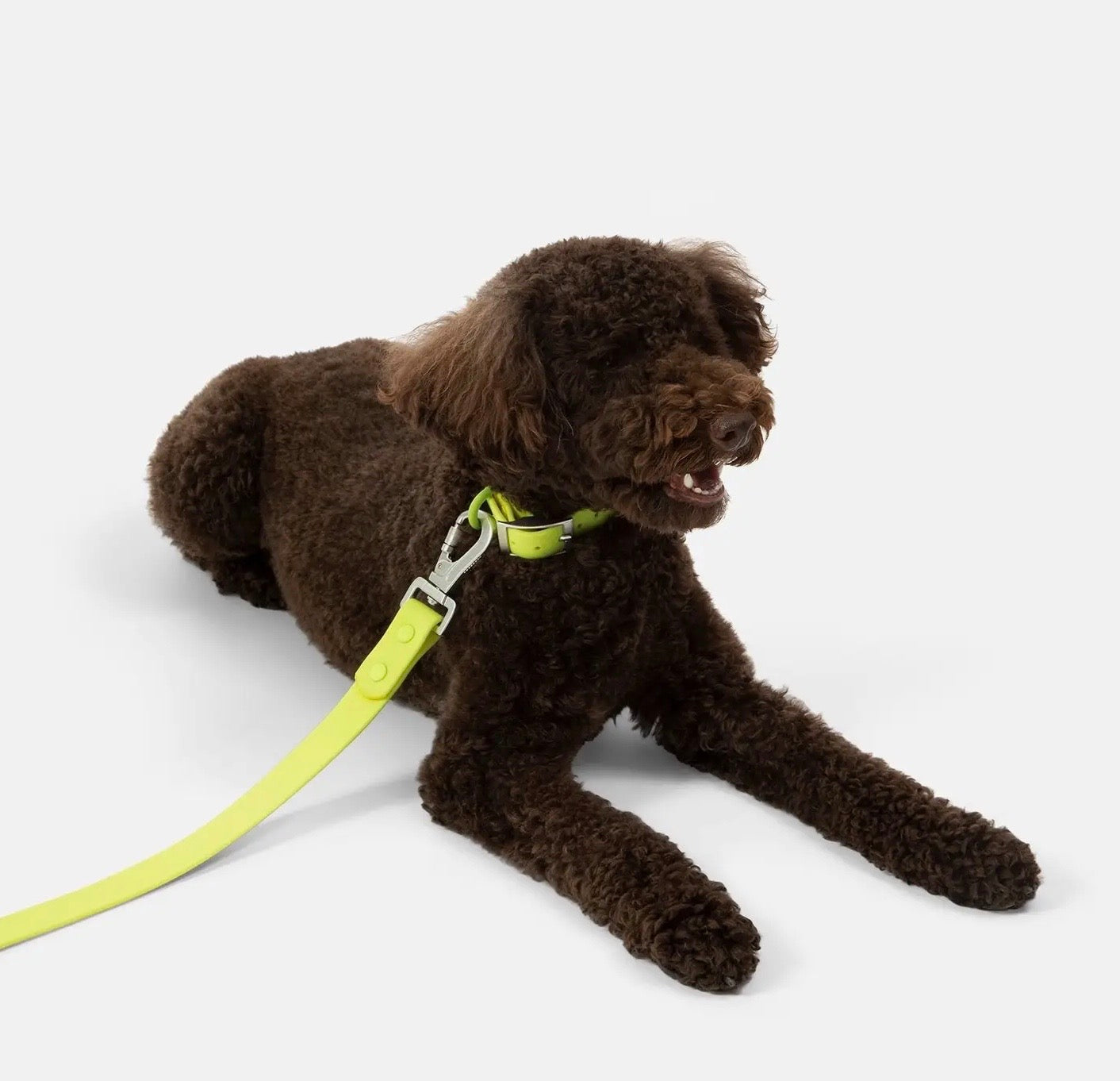 Tennis Ball Everyday PVC Leash