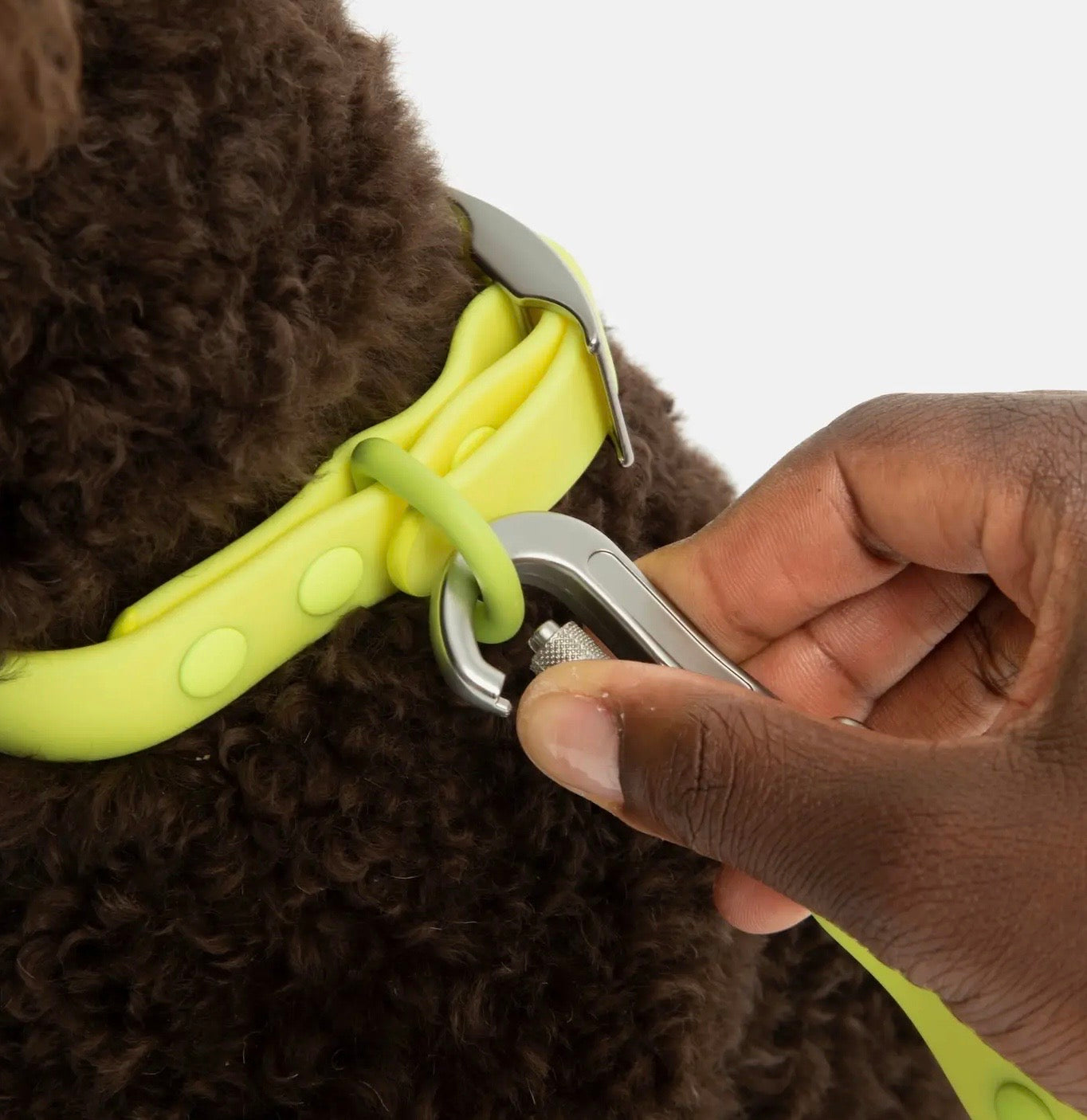 Tennis Ball Everyday PVC Leash