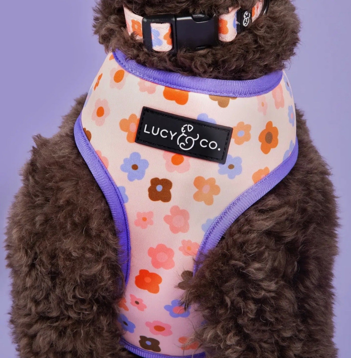 The Let's Groove Reversible Harness