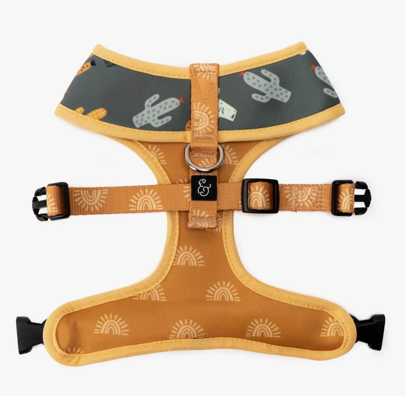 The Looking Sharp Harness