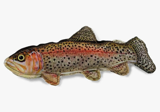 Rainbow Trout